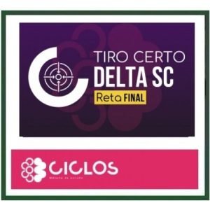 PC SC DELEGADO – TIRO CERTO – RETA FINAL DELTA SC ( CICLOS 2024)